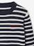 Pull Basics col rond manches longues garçon marine+rayé bleu - vertbaudet enfant 