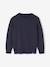 Pull Basics col rond manches longues garçon marine+rayé bleu - vertbaudet enfant 