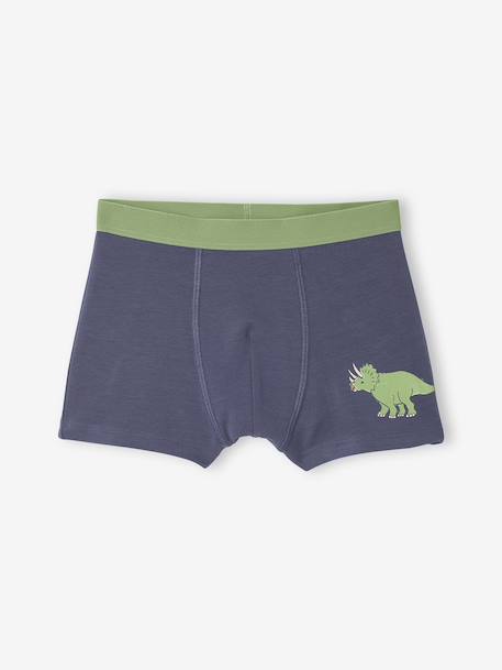 Set van 5 boxershorts voor jongens met dinosaurussen leiblauw - vertbaudet enfant 
