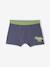 Set van 5 boxershorts voor jongens met dinosaurussen leiblauw - vertbaudet enfant 