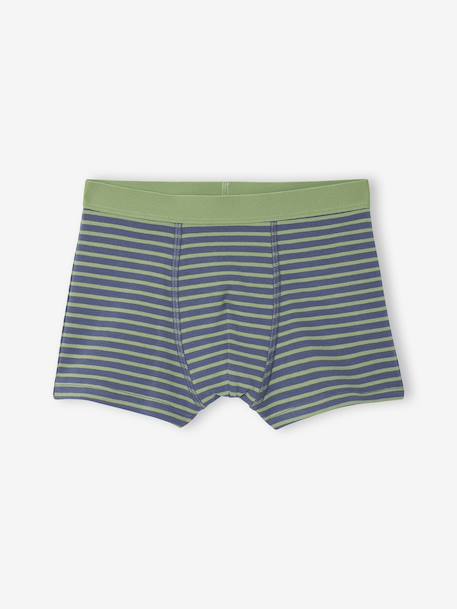 Lot 5 Boxers Garçon Dinosaures bleu ardoise - vertbaudet enfant 