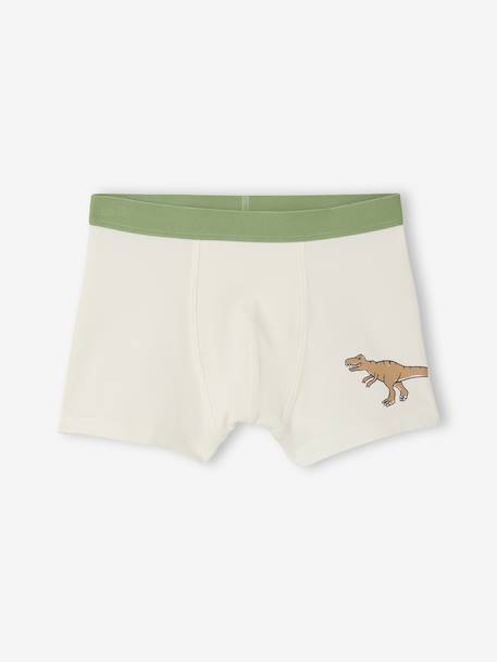Lot 5 Boxers Garçon Dinosaures bleu ardoise - vertbaudet enfant 