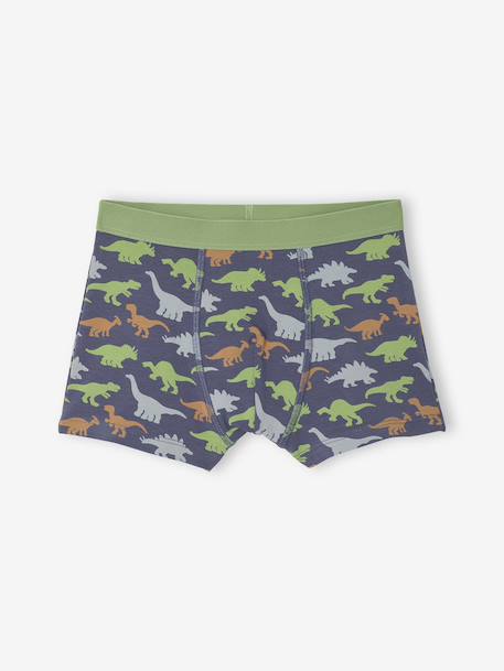 Lot 5 Boxers Garçon Dinosaures bleu ardoise - vertbaudet enfant 