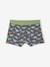 Lot 5 Boxers Garçon Dinosaures bleu ardoise - vertbaudet enfant 
