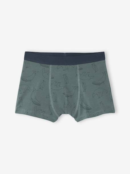 Set van 7 boxershorts voor jongens met strepen en berenprint groen - vertbaudet enfant 