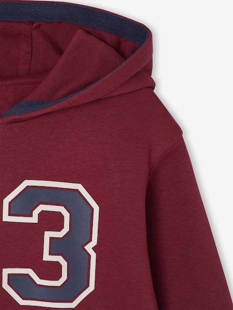 Sportieve set voor jongens met sweater met capuchon en print + effen joggingbroek bordeauxrood+karamel+korstmos+petrolblauw - vertbaudet enfant 