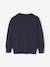 Pull Basics col rond manches longues garçon marine+rayé bleu - vertbaudet enfant 