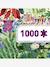 Puzzelgalerij 1000 stuks - regenboog tijger DJECO meerkleurig - vertbaudet enfant 