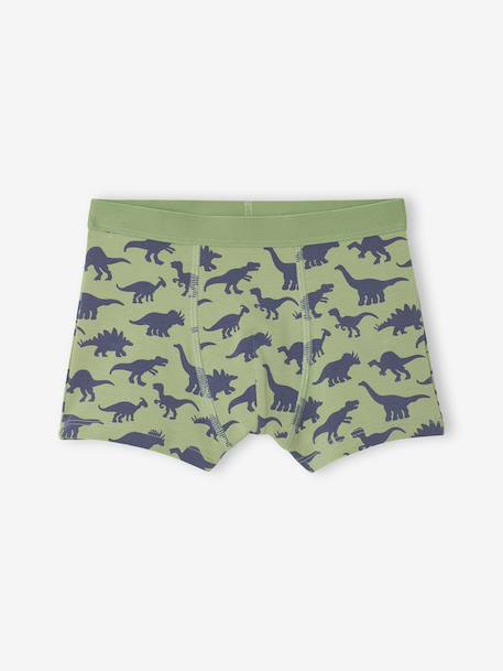 Lot 5 Boxers Garçon Dinosaures bleu ardoise - vertbaudet enfant 