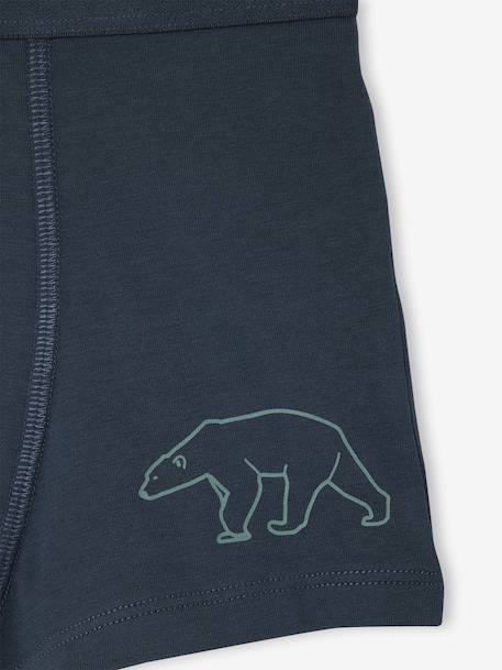 Set van 7 boxershorts voor jongens met strepen en berenprint groen - vertbaudet enfant 