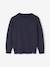 Pull Basics col rond manches longues garçon marine+rayé bleu - vertbaudet enfant 