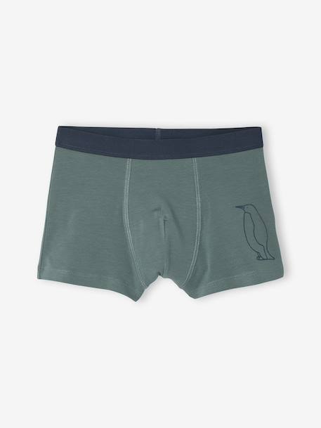 Set van 7 boxershorts voor jongens met strepen en berenprint groen - vertbaudet enfant 