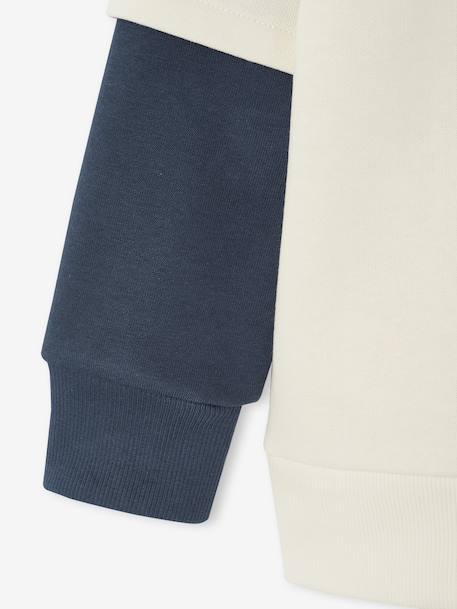 Sweater met capuchon 2-in-1 effect met geplaatste print voor jongens ecru - vertbaudet enfant 