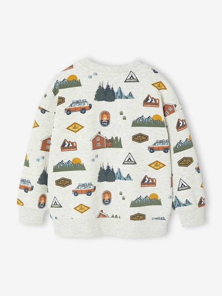 Sweat imprimé garçon beige chiné+bleu moyen+vert sauge - vertbaudet enfant 