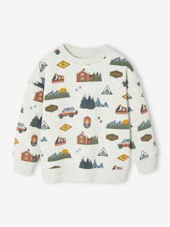 Garçon-Pull, gilet, sweat-Sweat imprimé garçon