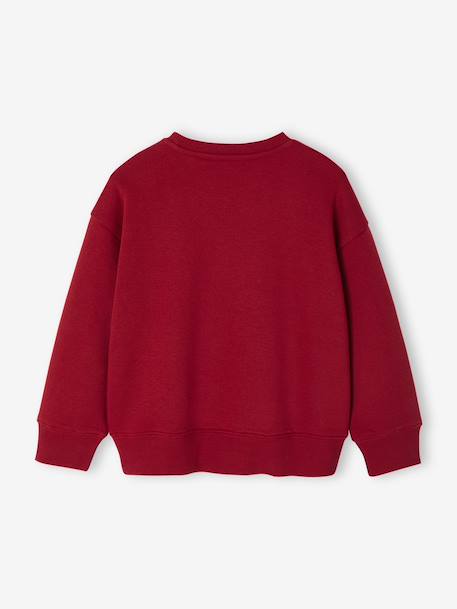 Sweat couleur motif poitrine Basics garçon rouge+vert - vertbaudet enfant 