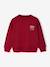 Sweat couleur motif poitrine Basics garçon rouge+vert - vertbaudet enfant 