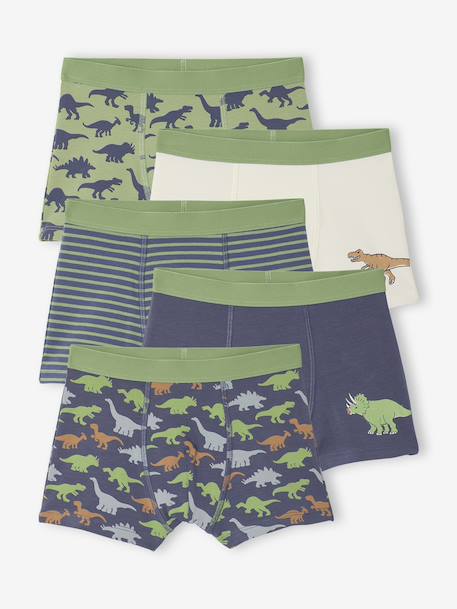 Set van 5 boxershorts voor jongens met dinosaurussen leiblauw - vertbaudet enfant 