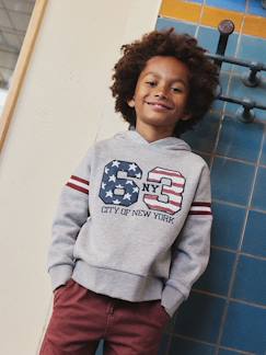 Garçon-Pull, gilet, sweat-Sweat à capuche print devant garçon