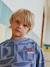 Sweater voor jongens met all-over print HAPPY LA blauw, bedrukt - vertbaudet enfant 