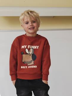 Jongens-Trui, vest, sweater-Sweater met hondenprint voor jongens 