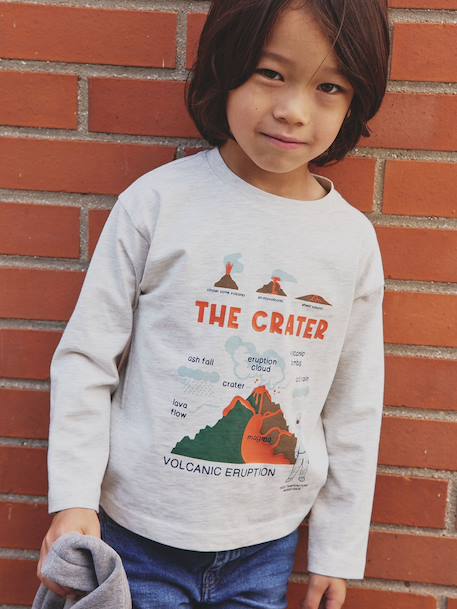 T-shirt manches longues imprimé garçon avec reliefs blanc chiné+noix de pécan - vertbaudet enfant 