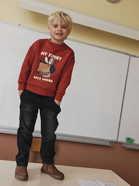 Sweat chien imprimé garçon rayé blanc+tomette - vertbaudet enfant 