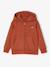 Sweater met rits en capuchon met jongensprint roest - vertbaudet enfant 