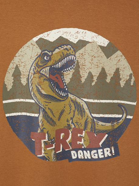 Sweat garçon à capuche motif placé blanc chiné+lichen+marine+noix de pécan - vertbaudet enfant 