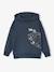 Sweat Capuche Print Skate anthracite - vertbaudet enfant 