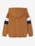 Sweat garçon à capuche motif placé blanc chiné+lichen+marine+noix de pécan - vertbaudet enfant 