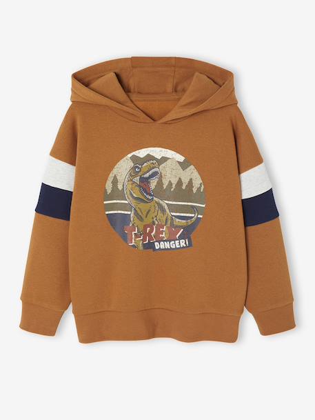 Garçon-Sweat garçon à capuche motif placé