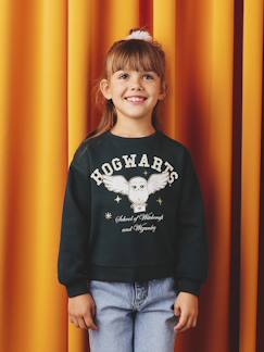 Meisje-Sweater meisje HARRY POTTER® 