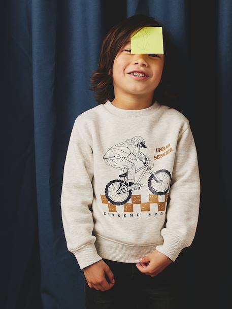 Sweater met ronde hals en geplaatste print voor jongens gemêleerd wit+kaki+nachtblauw - vertbaudet enfant 