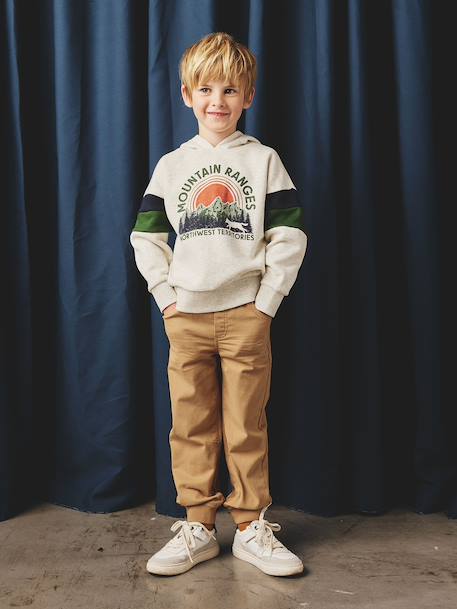 Sweat garçon à capuche motif placé blanc chiné+lichen+marine+noix de pécan - vertbaudet enfant 