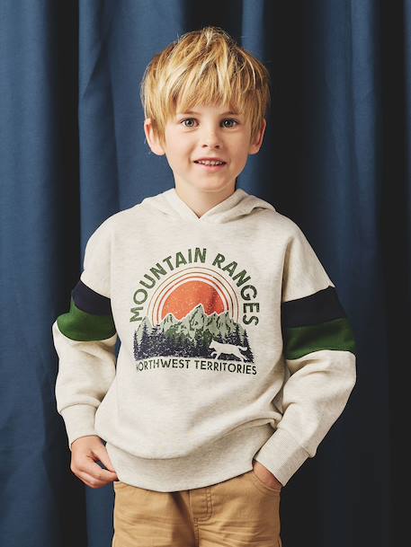 Garçon-Sweat garçon à capuche motif placé
