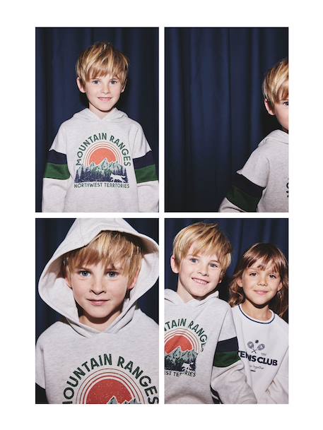 Sweat garçon à capuche motif placé blanc chiné+lichen+marine+noix de pécan - vertbaudet enfant 