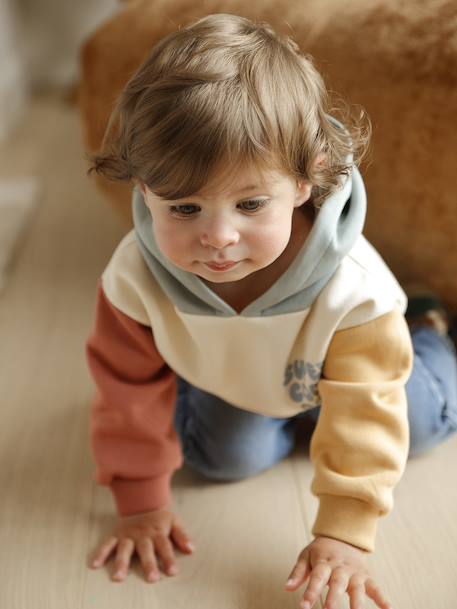 Babyset sweater met capuchon + jeans meerkleurig - vertbaudet enfant 