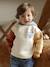 Babyset sweater met capuchon + jeans meerkleurig - vertbaudet enfant 