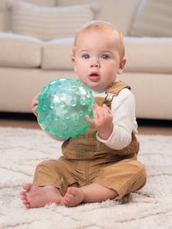 Jouet-Premier âge-Balle sensorielle translucide