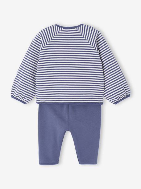 Gewatteerde babypakje vestje + broek blauw+ecru - vertbaudet enfant 