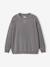 Lot 2 de sweats garçon unis col rond caramel - vertbaudet enfant 