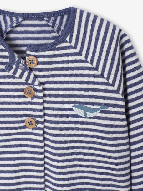 Gewatteerde babypakje vestje + broek blauw+ecru - vertbaudet enfant 