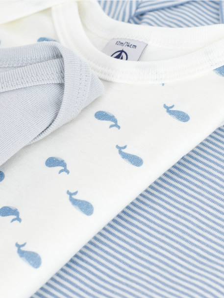 Set van 3 body's Walvissen baby PETIT BATEAU lange mouwen wit - vertbaudet enfant 
