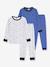 Set van 2 pyjama's voor kinderen van bedrukt katoen PETIT BATEAU blauw - vertbaudet enfant 