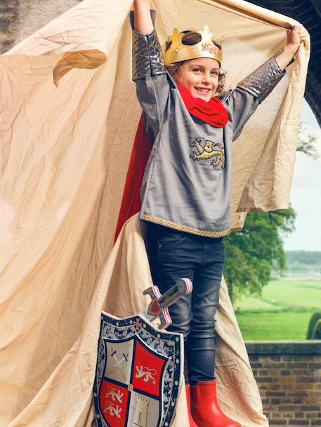 Armure roi Arthur argent - vertbaudet enfant 