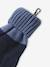 Jongens  +  + wanten/handschoenen « Monstre » marineblauw - vertbaudet enfant 