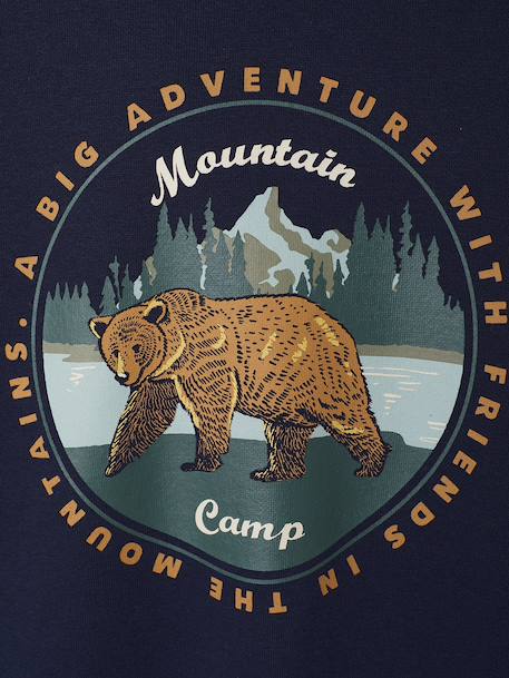 Sweater met capuchon met geplaatste print gemêleerd wit+korstmos+marineblauw+pecannoot - vertbaudet enfant 