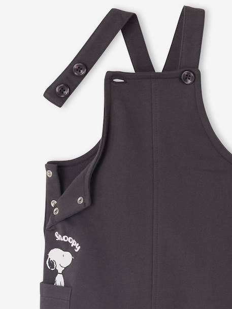 Babyset met shirt + salopet Peanuts® SNOOPY antraciet - vertbaudet enfant 