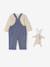 Babyset met T-shirt met lange mouwen + salopet + knuffel grijsblauw - vertbaudet enfant 